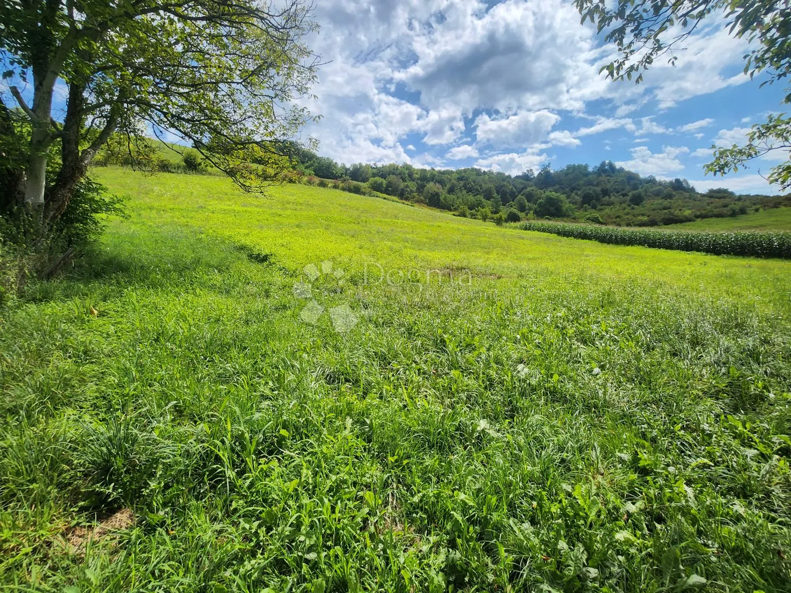 kuća sa pomoćnim objektom i 7.438m² okućnice 4 min od krapinskih toplica! - slika 5