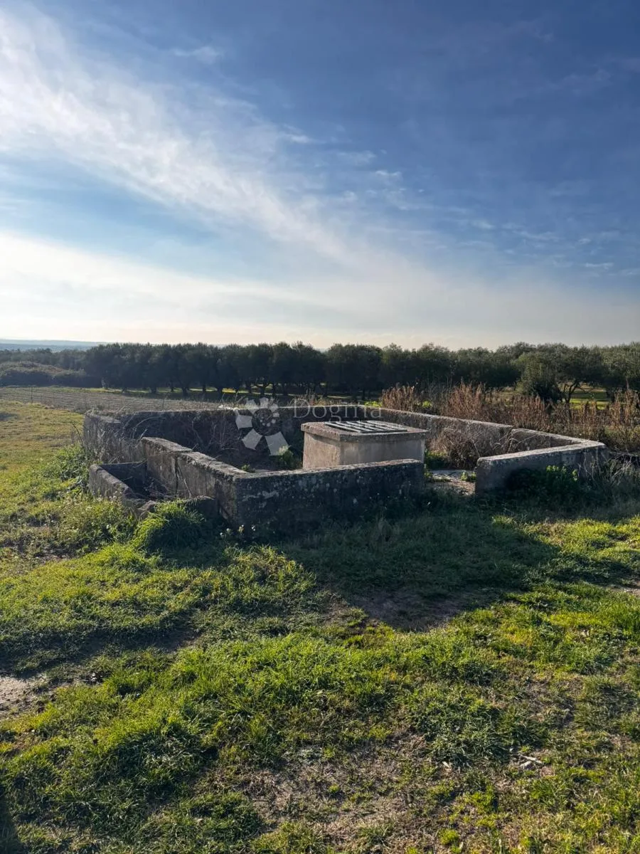 građevinsko zemljište - 1400m2 - gornji zemunik - slika 9