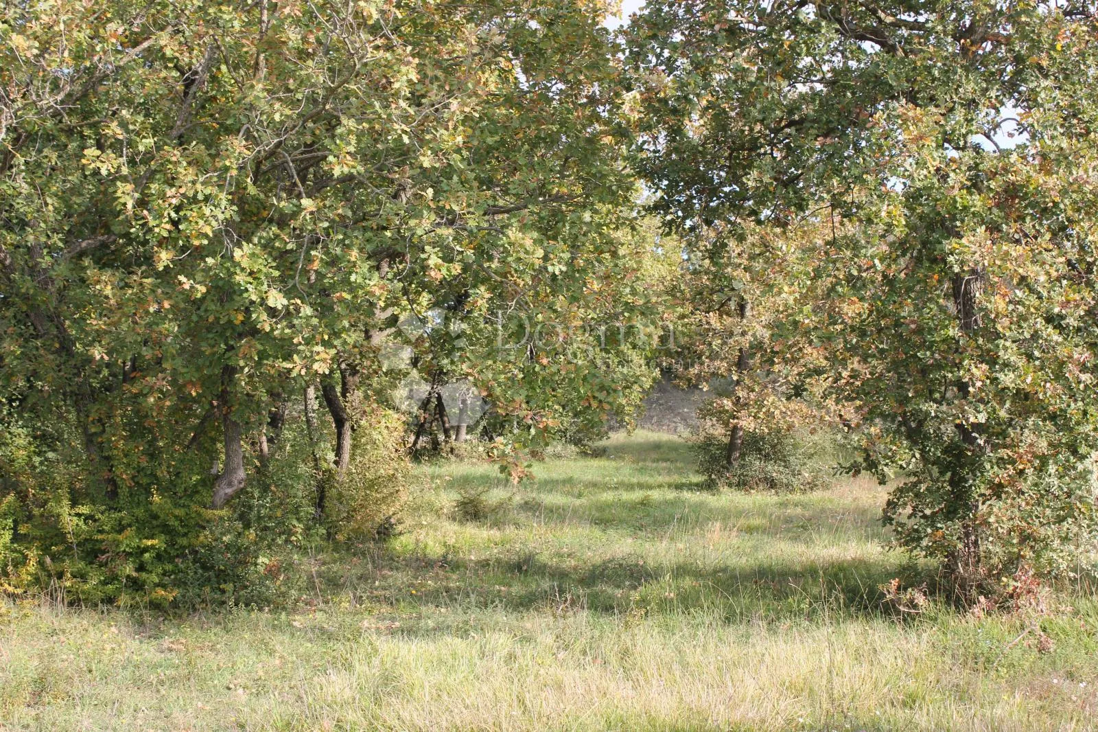 zemljište na samo 2 km od mora! - slika 1