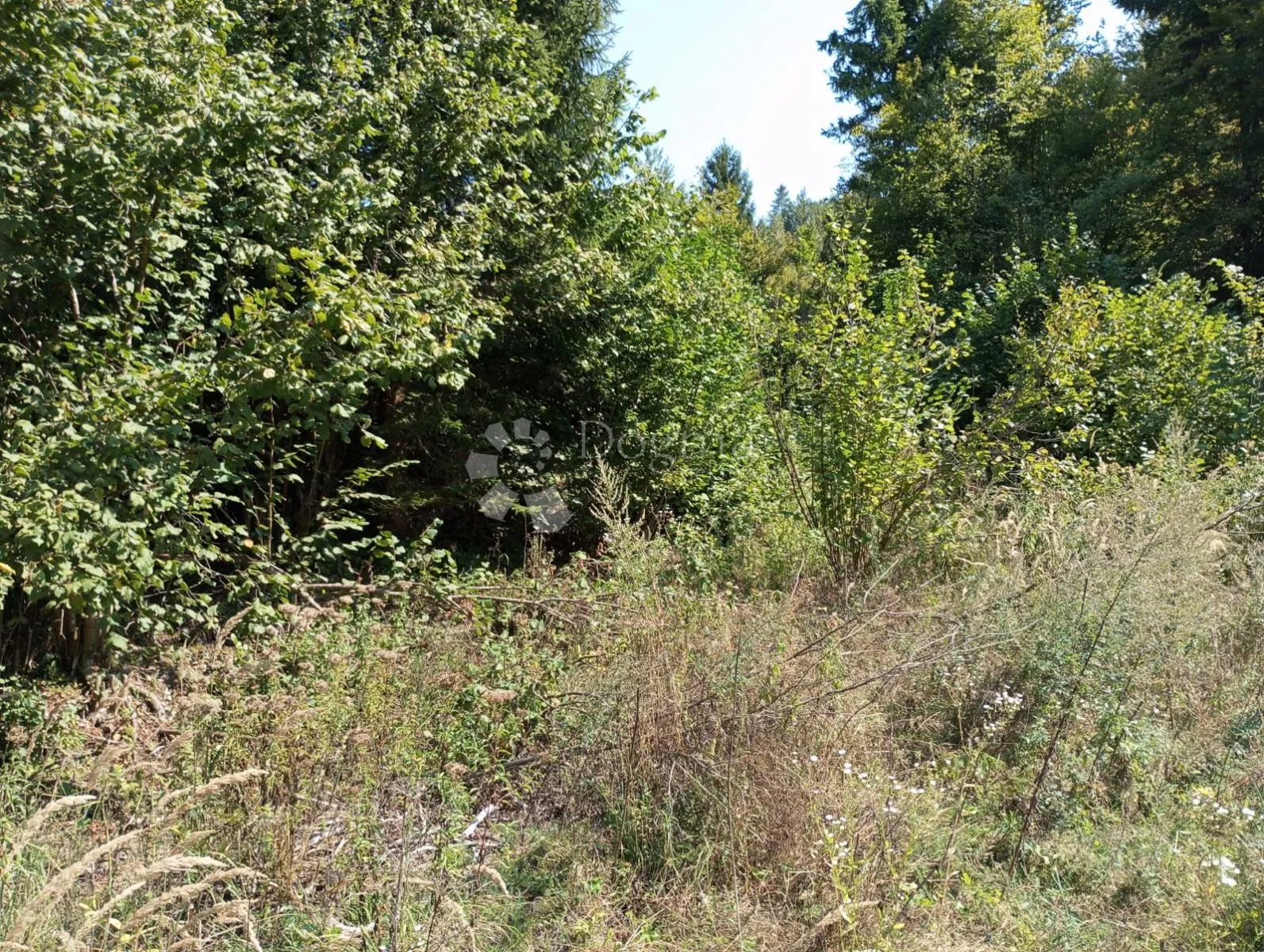 rijetka prilika gorski kotar, delnice 10.500 m2 zemljište za 9 a-frame vikendica - slika 2