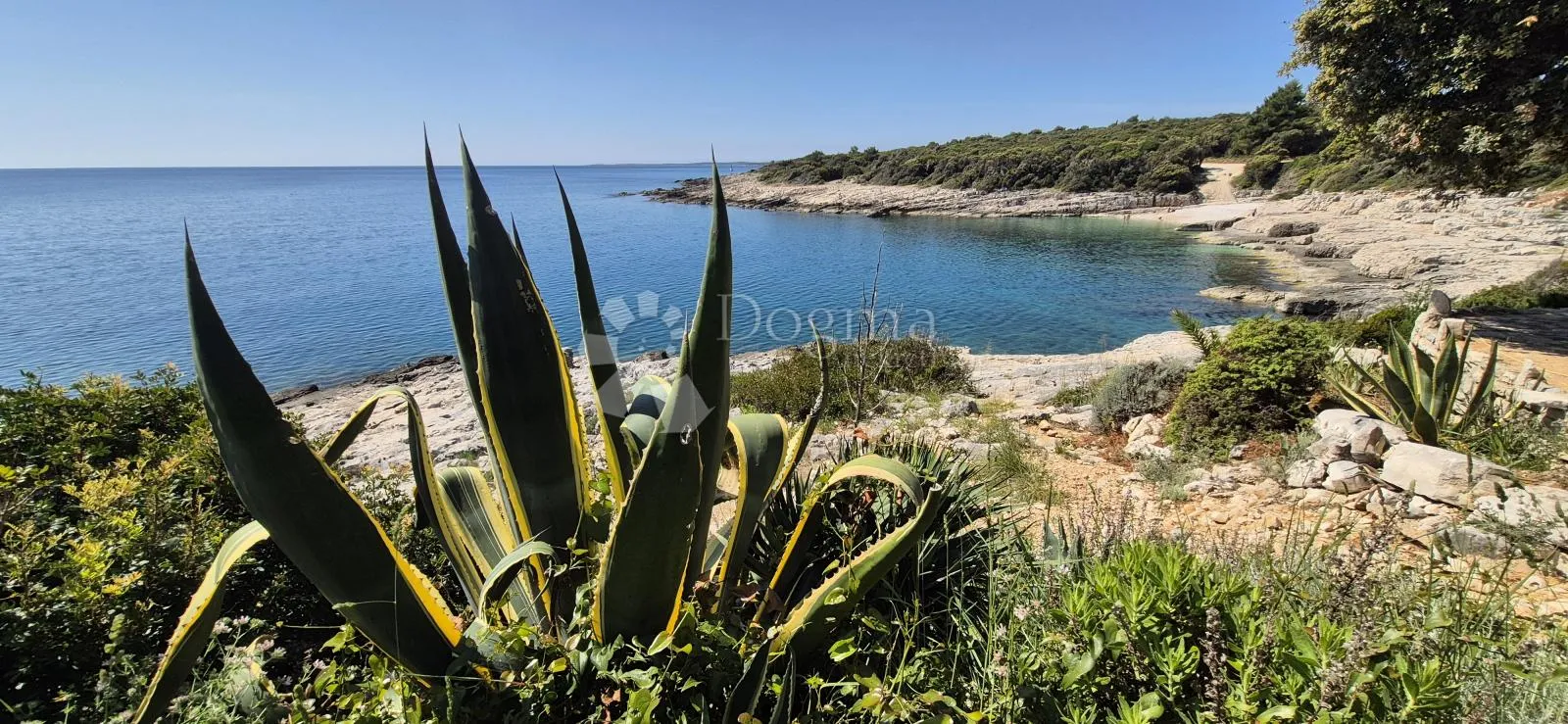 poljoprivredno zemljište s pogledom na more - 250 m od plaže - slika 2