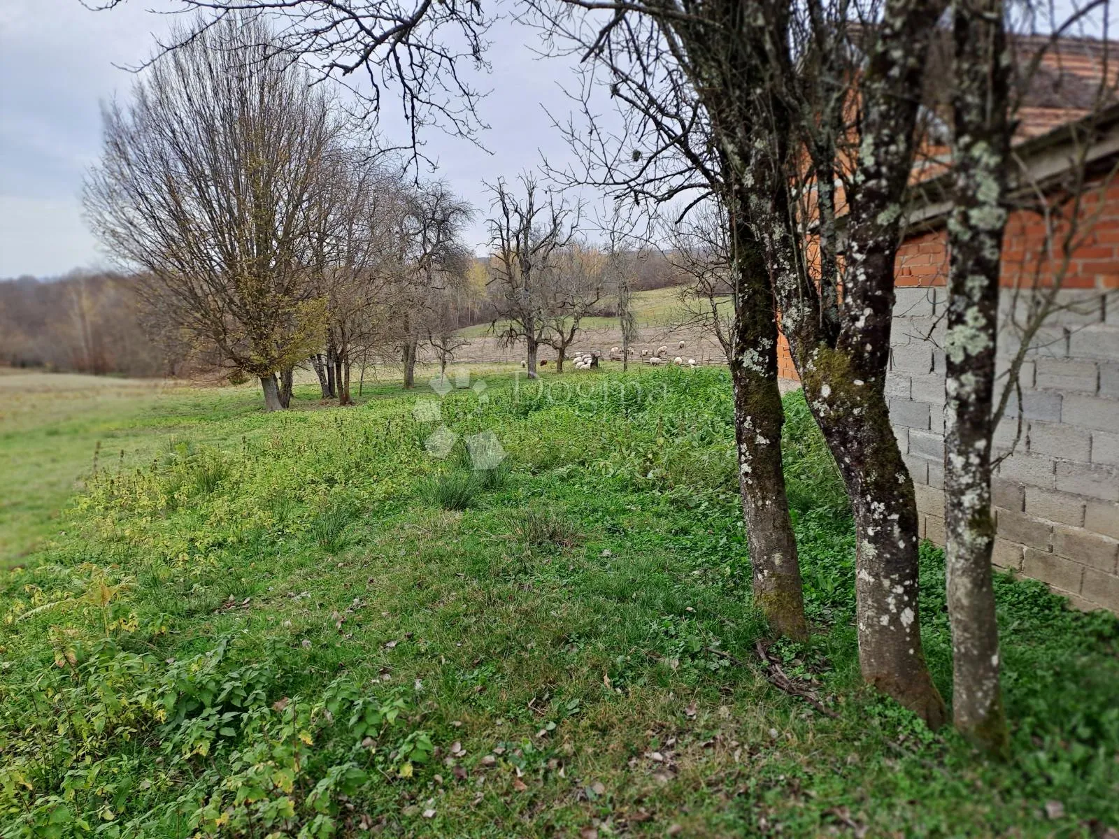 posjed s bunarom i dosta šume - slika 10