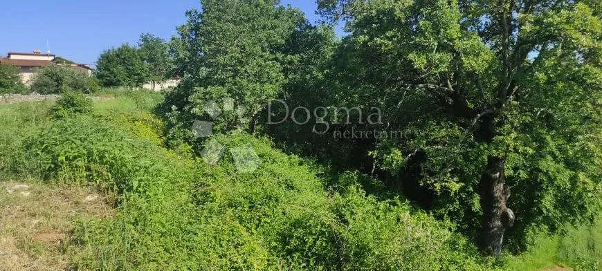 građevinsko zemljište kanfanar - slika 3