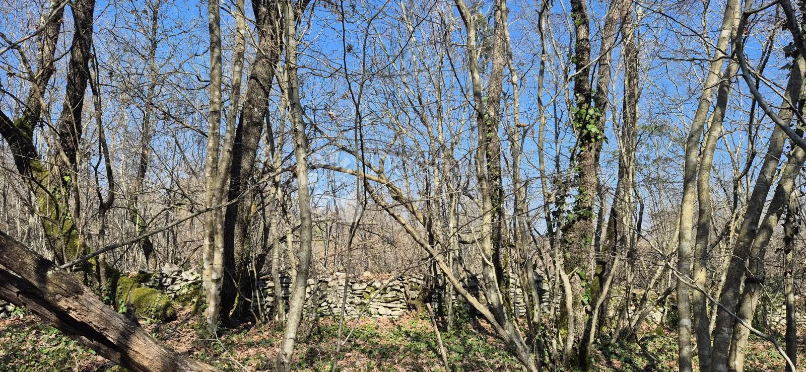 poljoprivredno zemljište površine 23953 m2 sa ogromnim potencijalom - slika 14