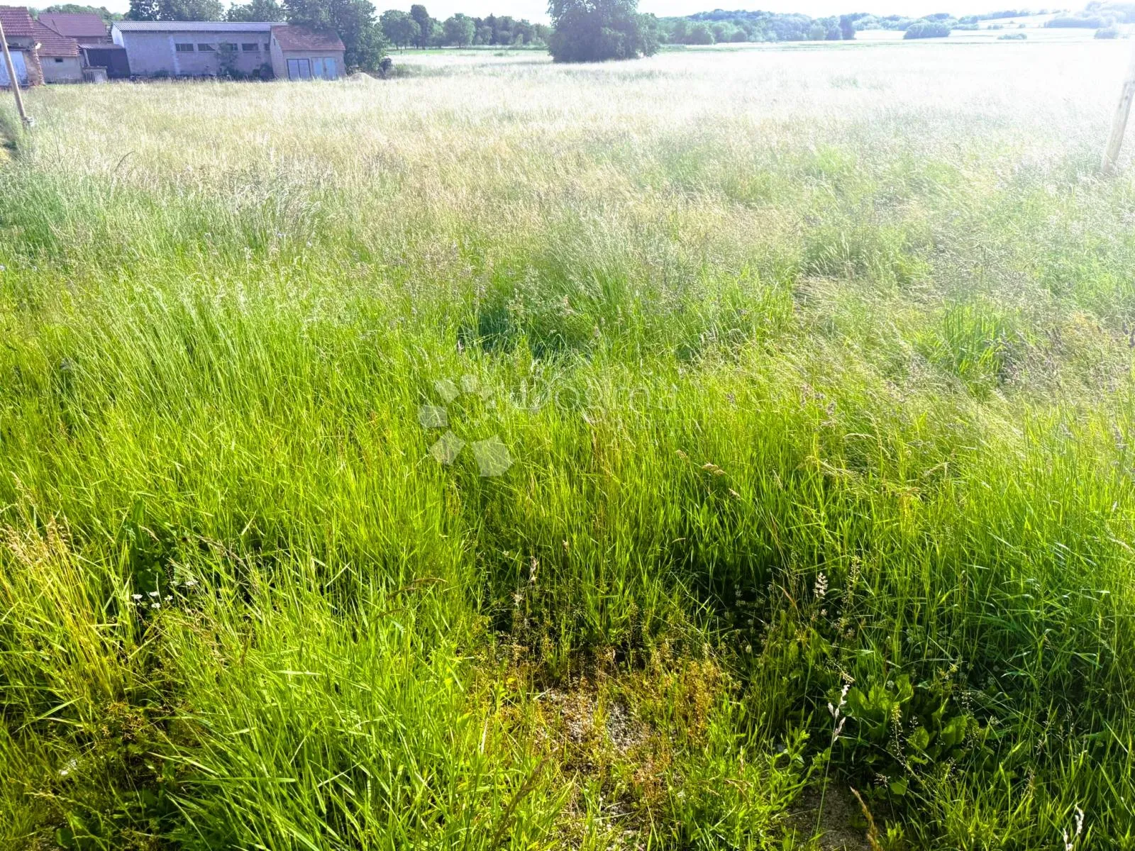 kuća s dvorištem i zemljištem u štrukovcu - slika 14