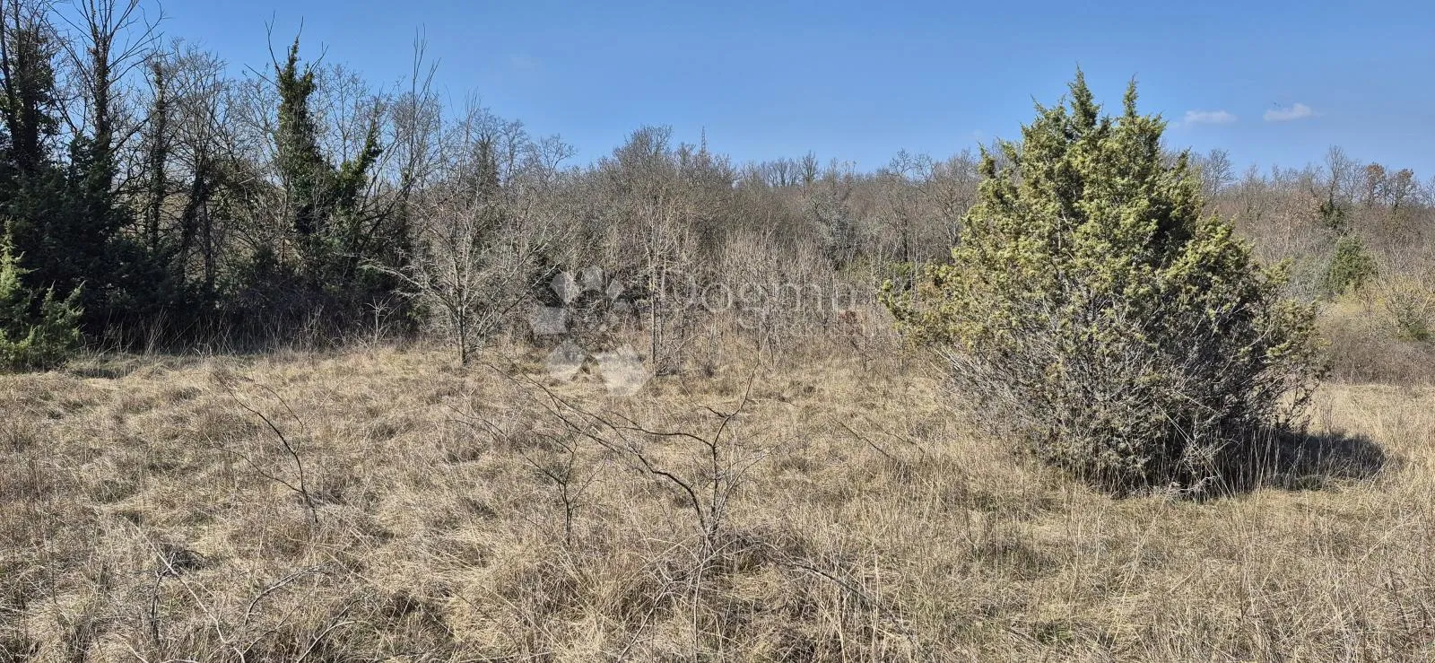 poljoprivredno zemljište površine 7962 m2 - slika 2