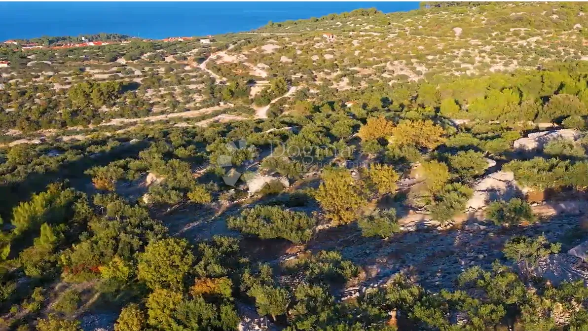 zemljište otok brač- idealno za opg! - slika 3