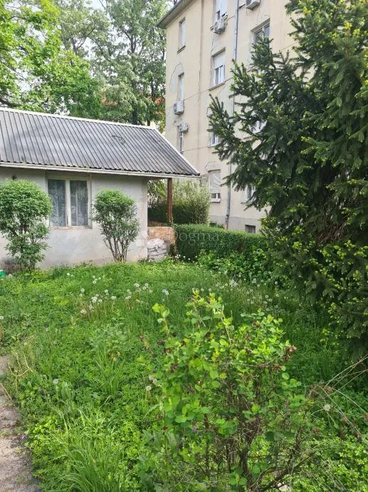 kuća s potencijalom u trnju! - slika 2