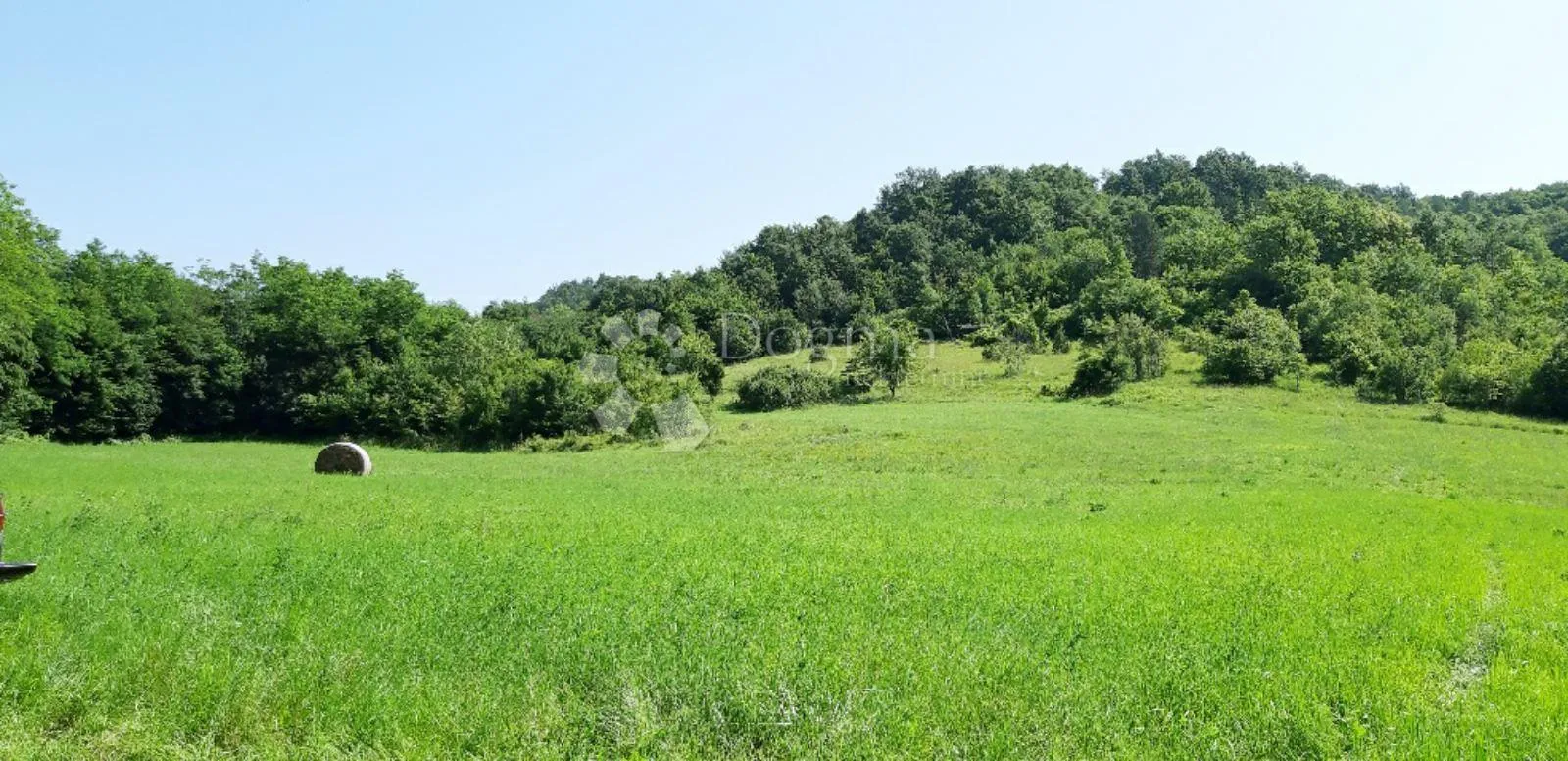 veliko imanje sa dvije kuće s ogromnim potencijalom - središnja istra - slika 6