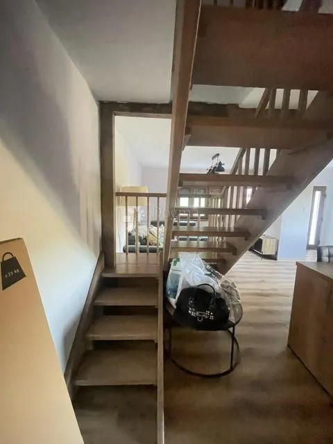 ravna gora, kuća s 4.500m2 okućnice - slika 34