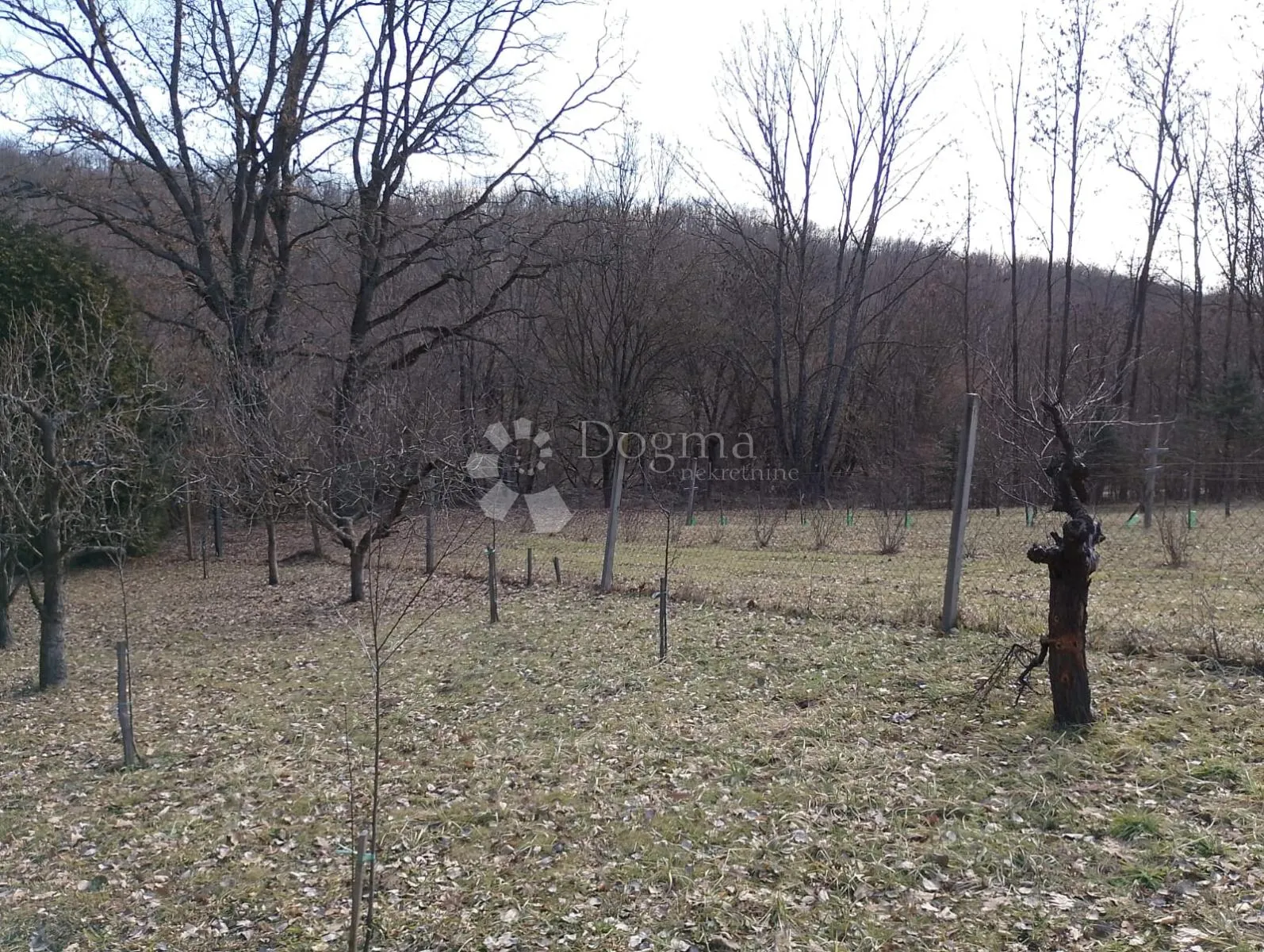 bektež - vinograd s vikendicom u blizini ribnjaka - slika 24