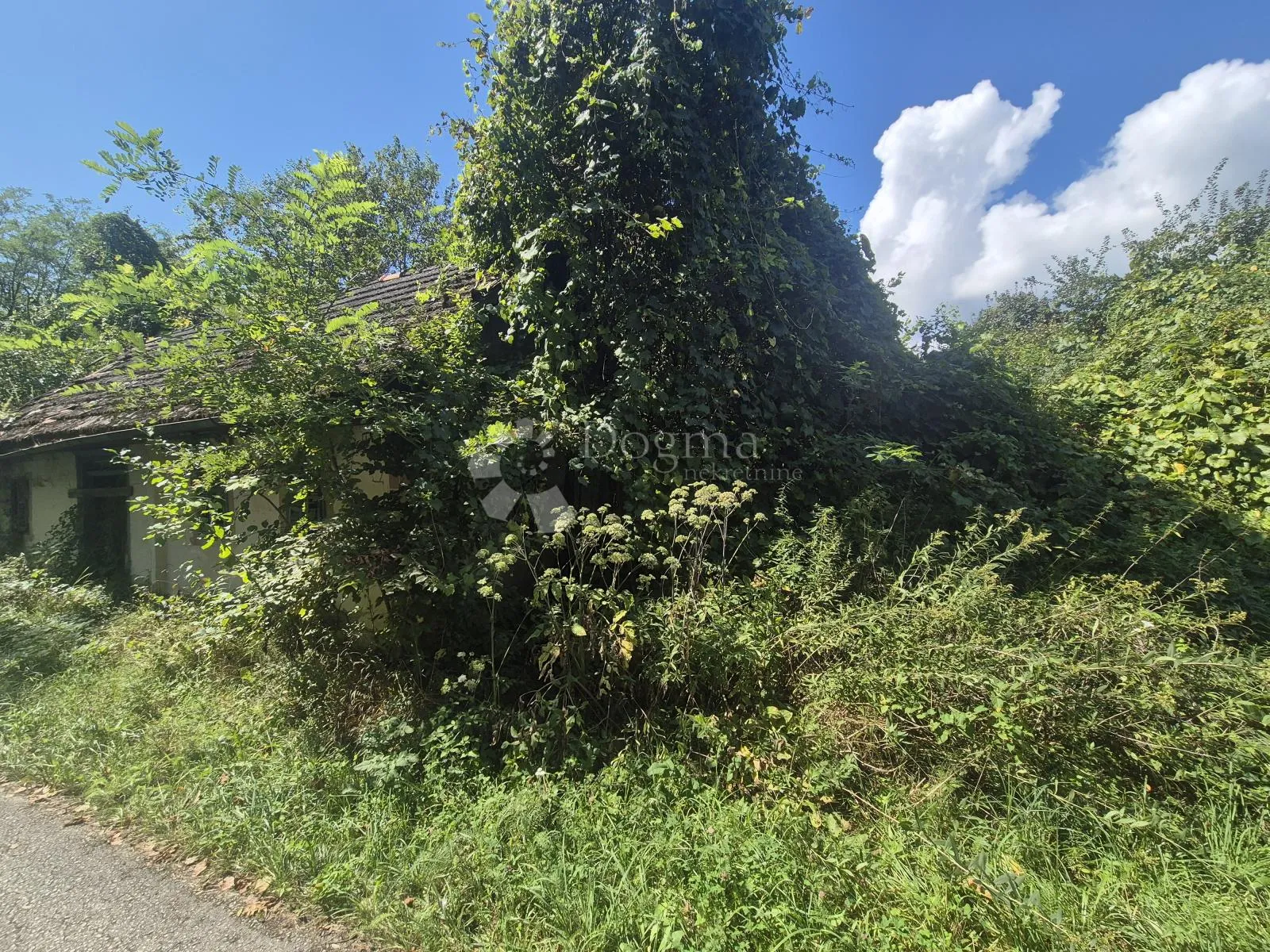 kuća za rušenje na mirnoj lokaciji sa 1.334m² građevinskog zemljišta! - slika 4
