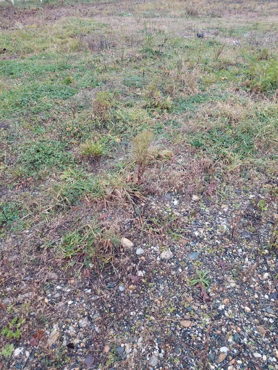građevinsko zemljište u mirnom dijelu biškupeca - slika 5