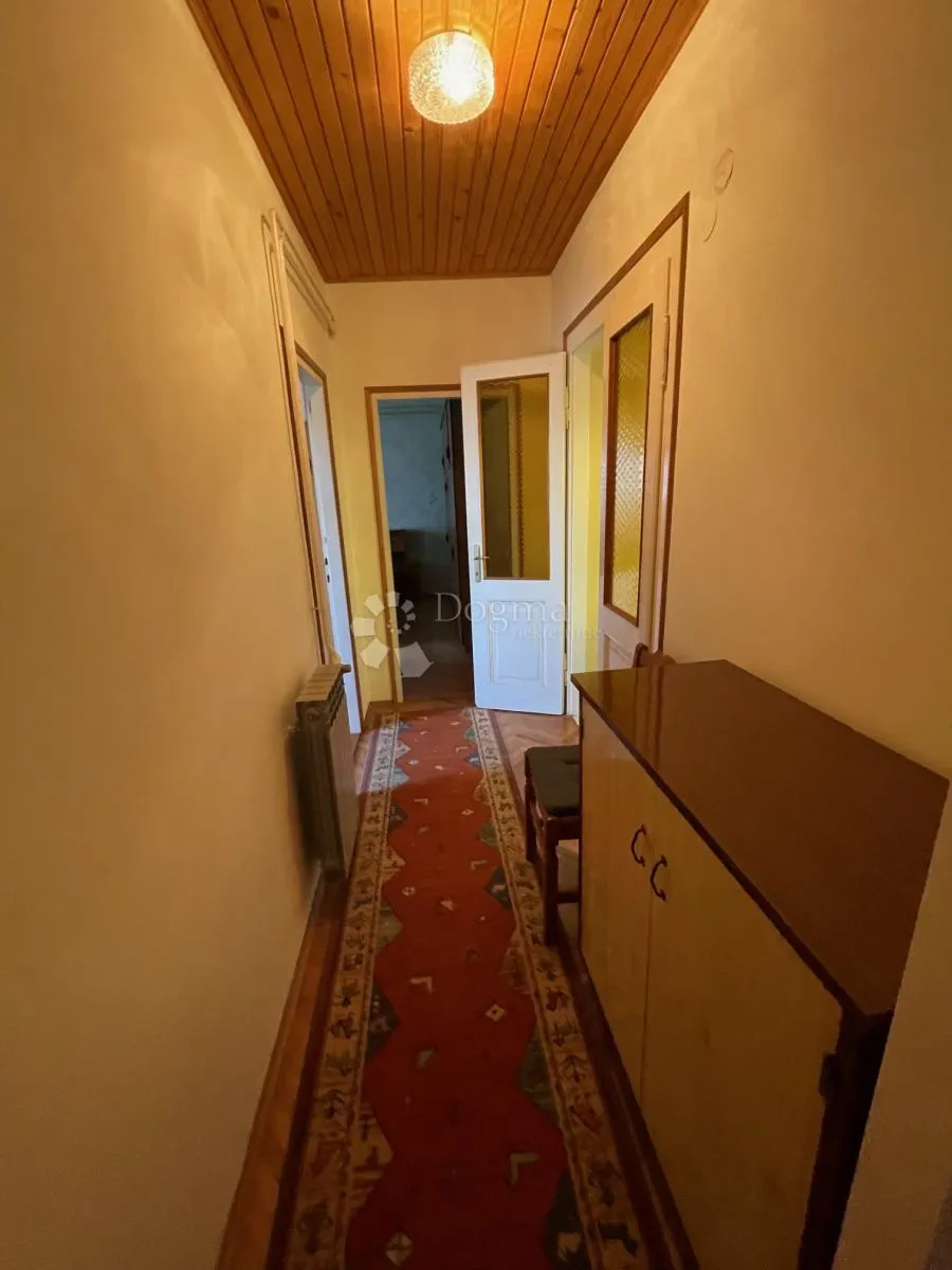 komadić raja koji traži pažnju - slika 36