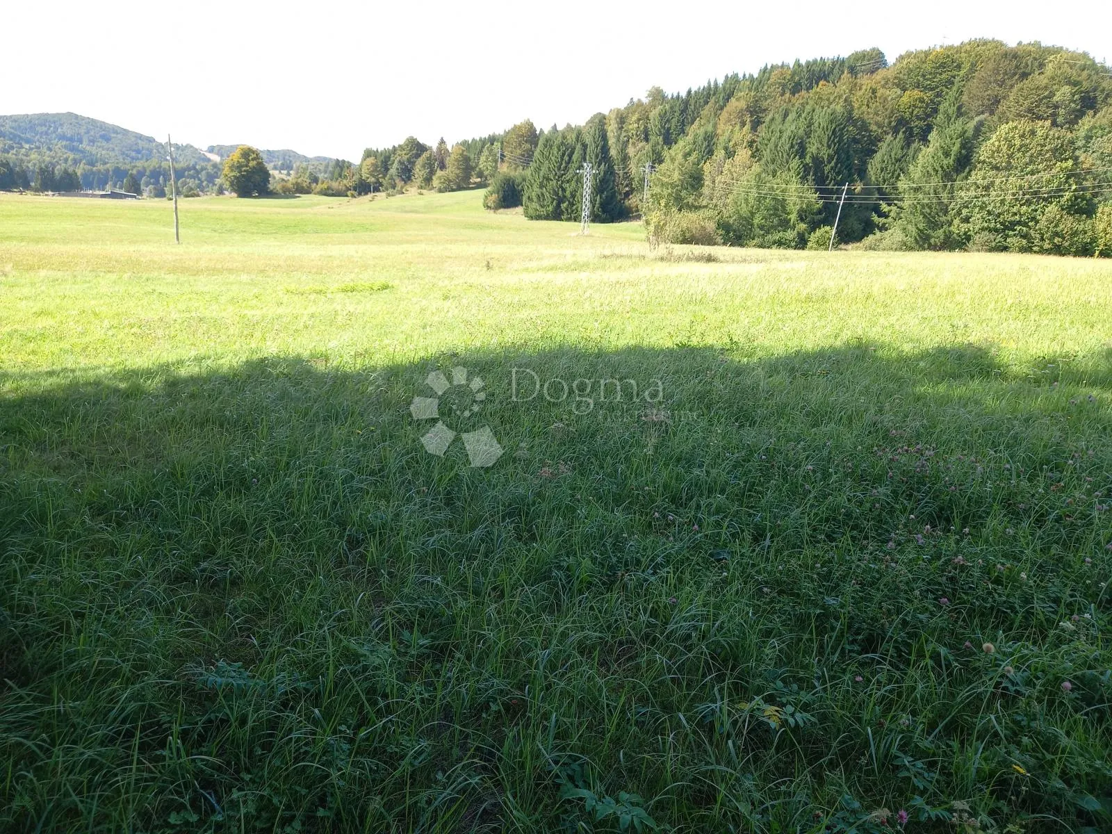 ravna gora, gospodarsko zemljište - slika 3