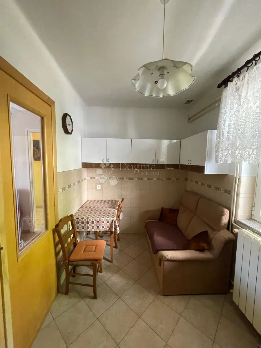komadić raja koji traži pažnju - slika 54