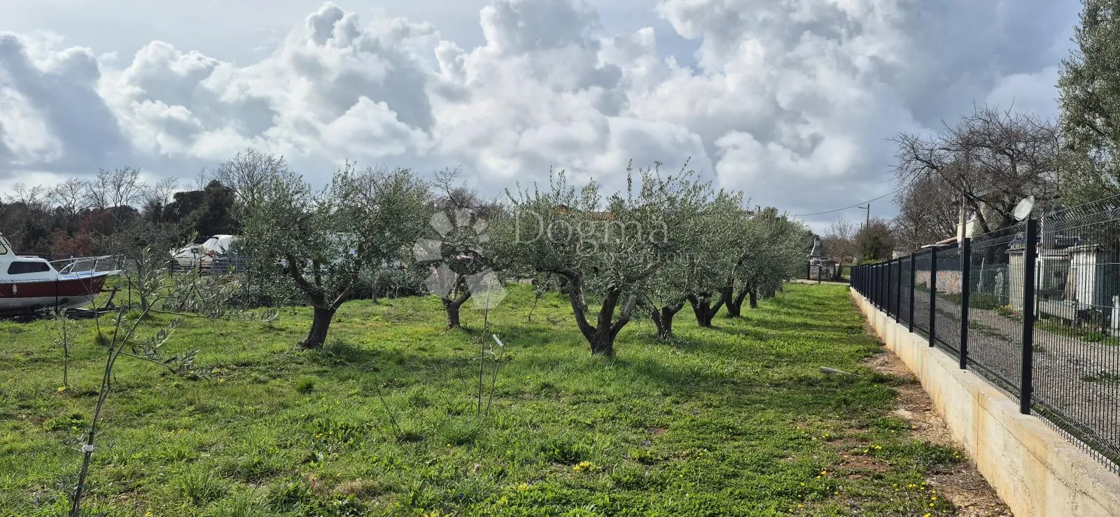 maslinik sa kamenim kažunom površine 15 m2, 1,5 km od mora - slika 15