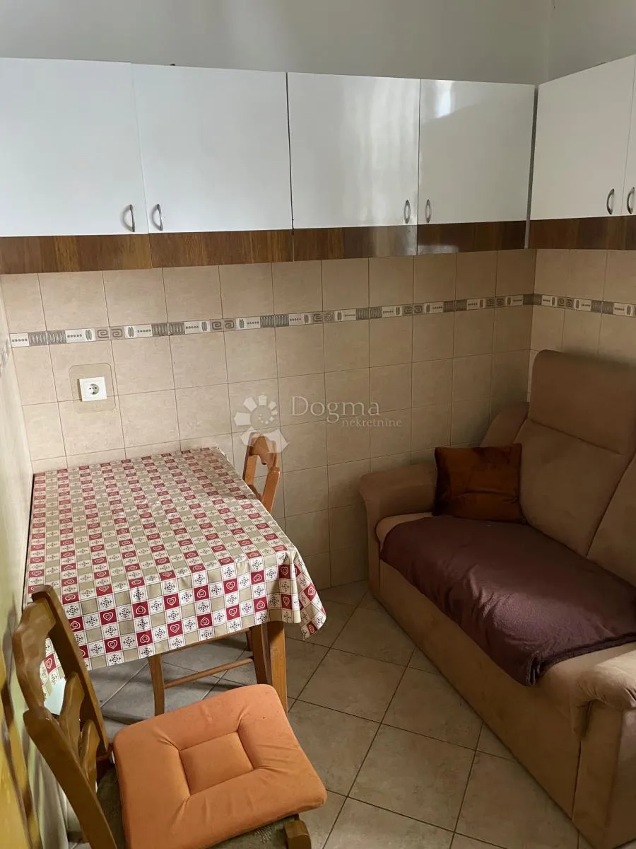 komadić raja koji traži pažnju - slika 57