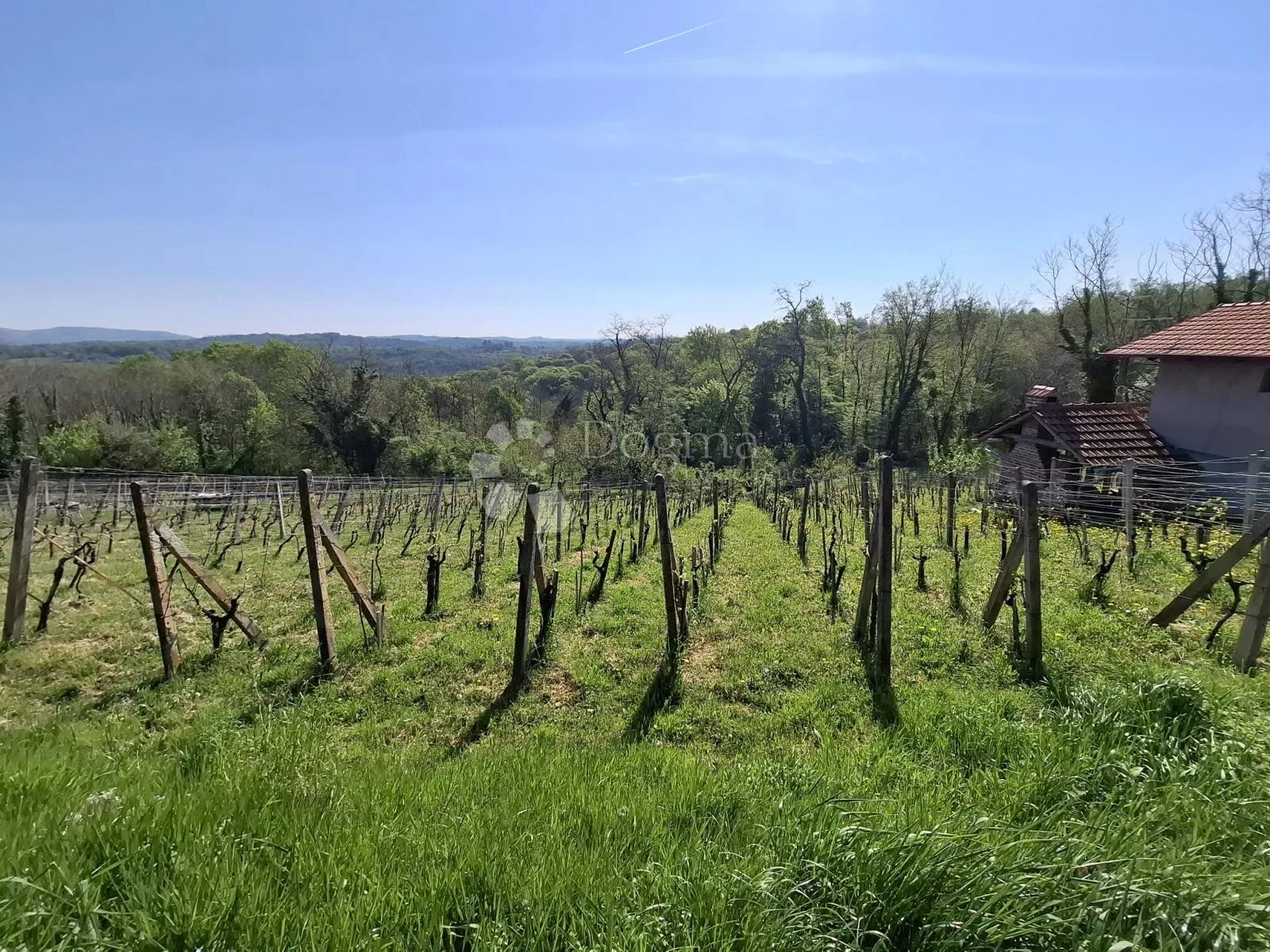 stražinec – klet s vinogradom, voćnjakom, površine 1.200 m² - slika 4