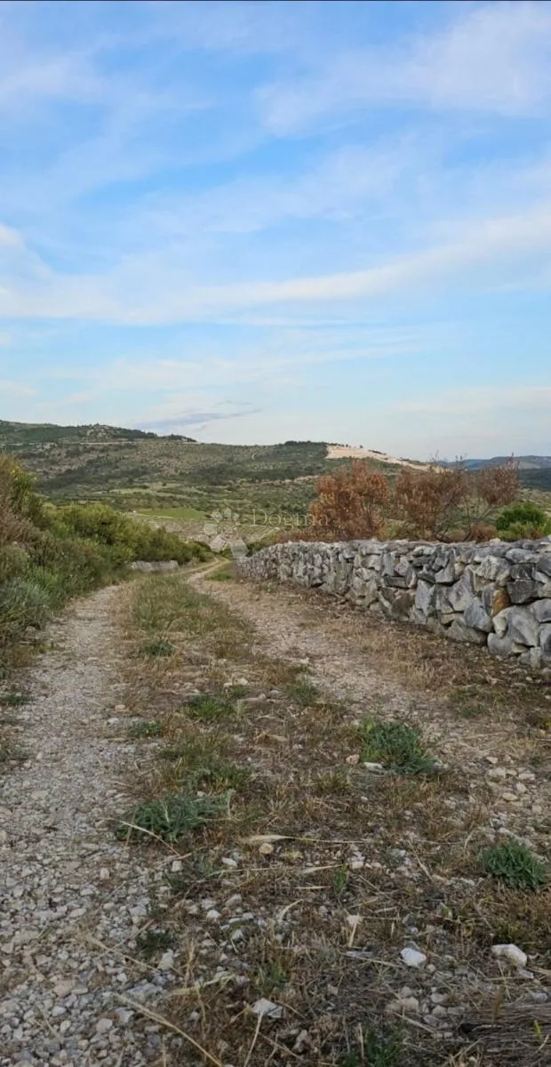 primošten, maslinik s pogledom na more - slika 5