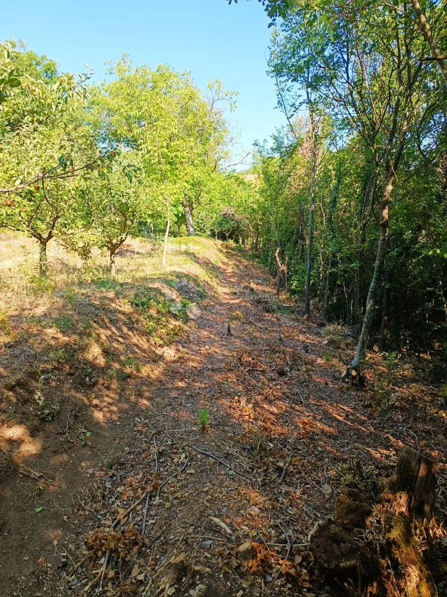 seosko imanje - kamena kuća za adaptaciju, glavice - slika 5