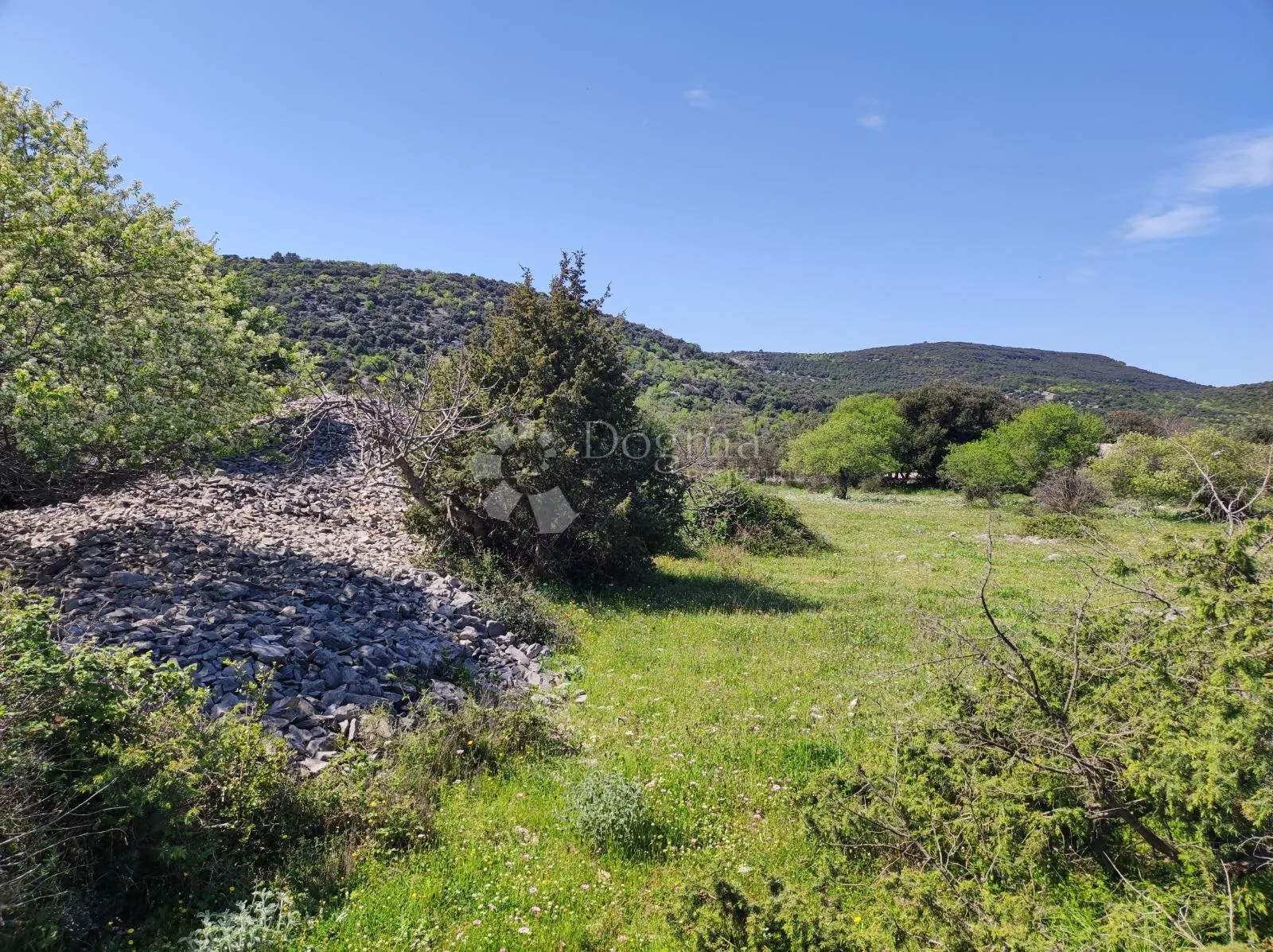 brač, selca – poljoprivredno zemljište 11.274 m² - slika 8