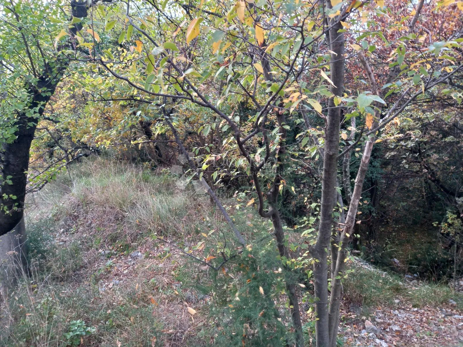 kostrena, građevinski teren sa pogledom - slika 4