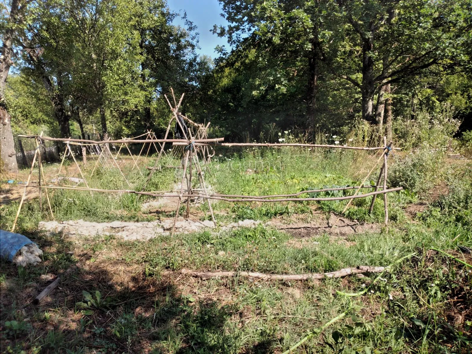šumska vila - slika 27