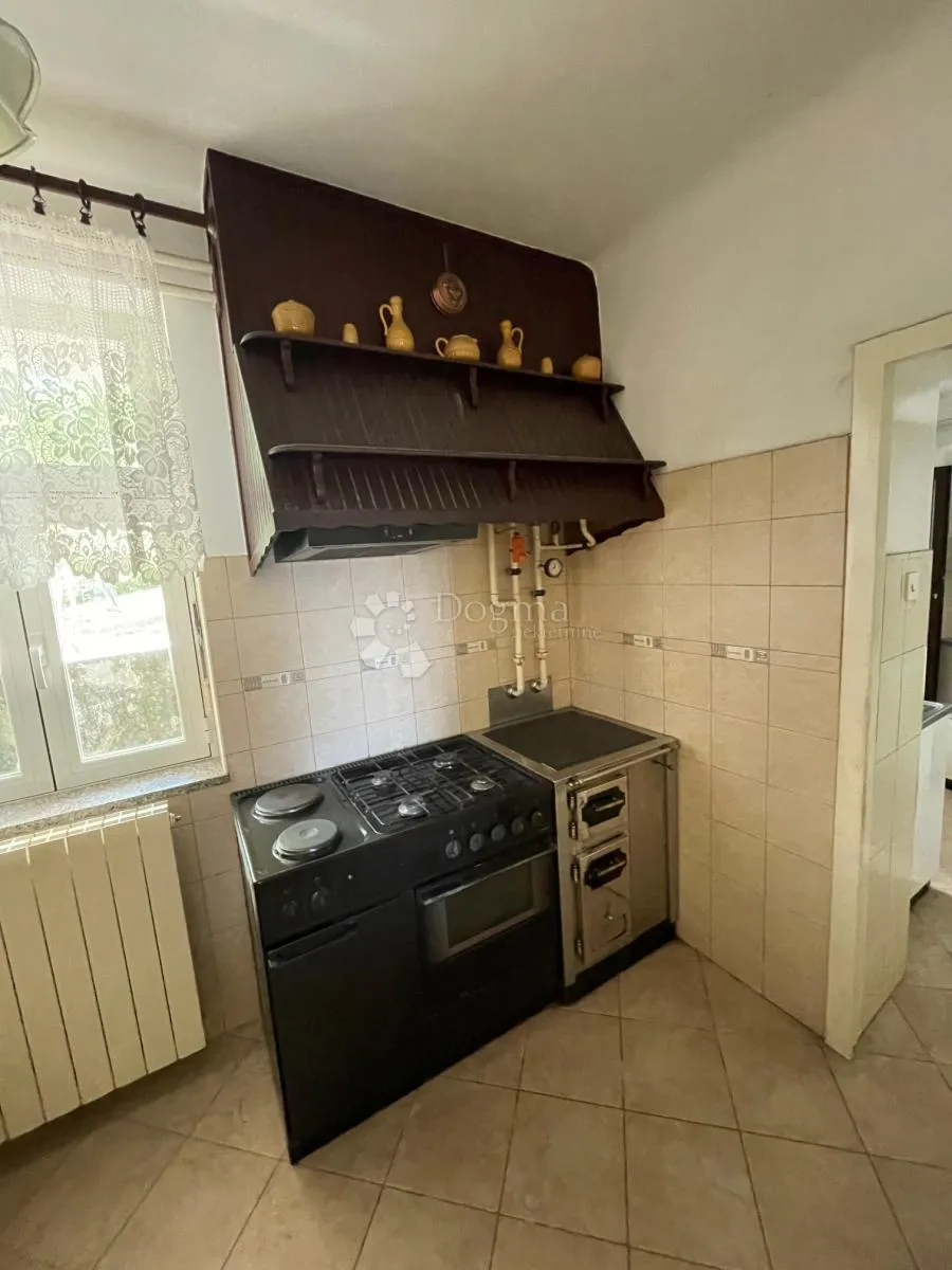 komadić raja koji traži pažnju - slika 60
