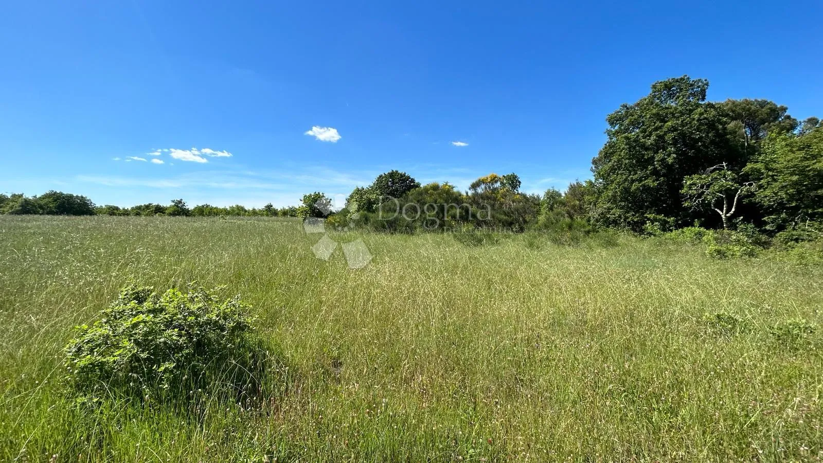 šuma u marčani: 17544 m² s pristupnim putem - slika 5