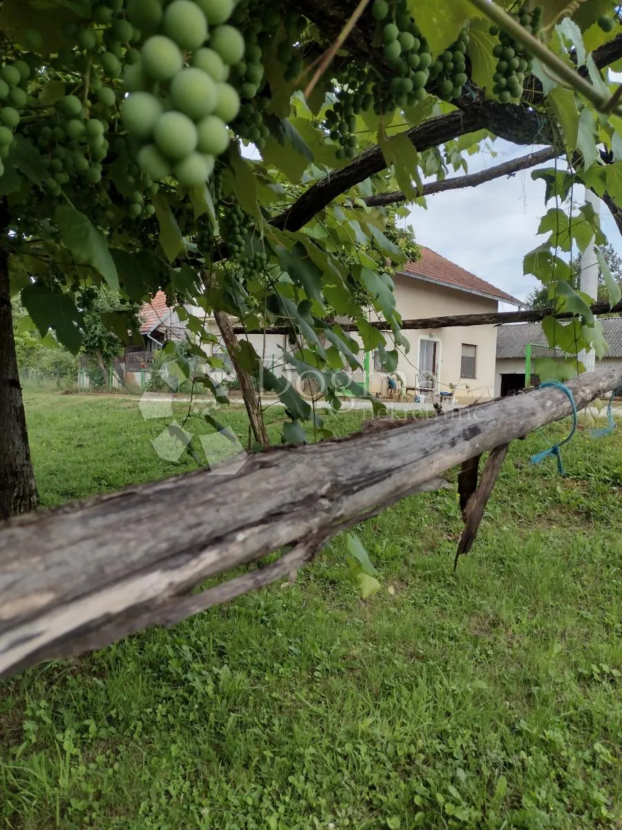 opg imanje, ogromno zemljište, dodatna kućica - slika 2