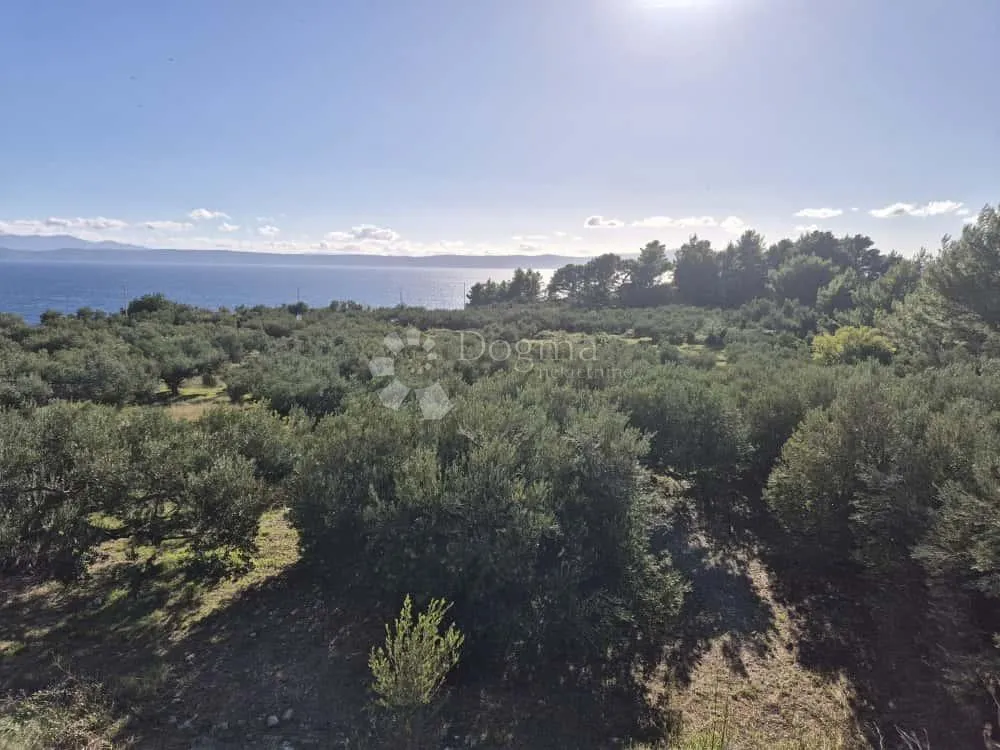 jedinstveno građevinsko zemljište u podgori — 6356 m² blizu mora i netaknute obale - slika 2