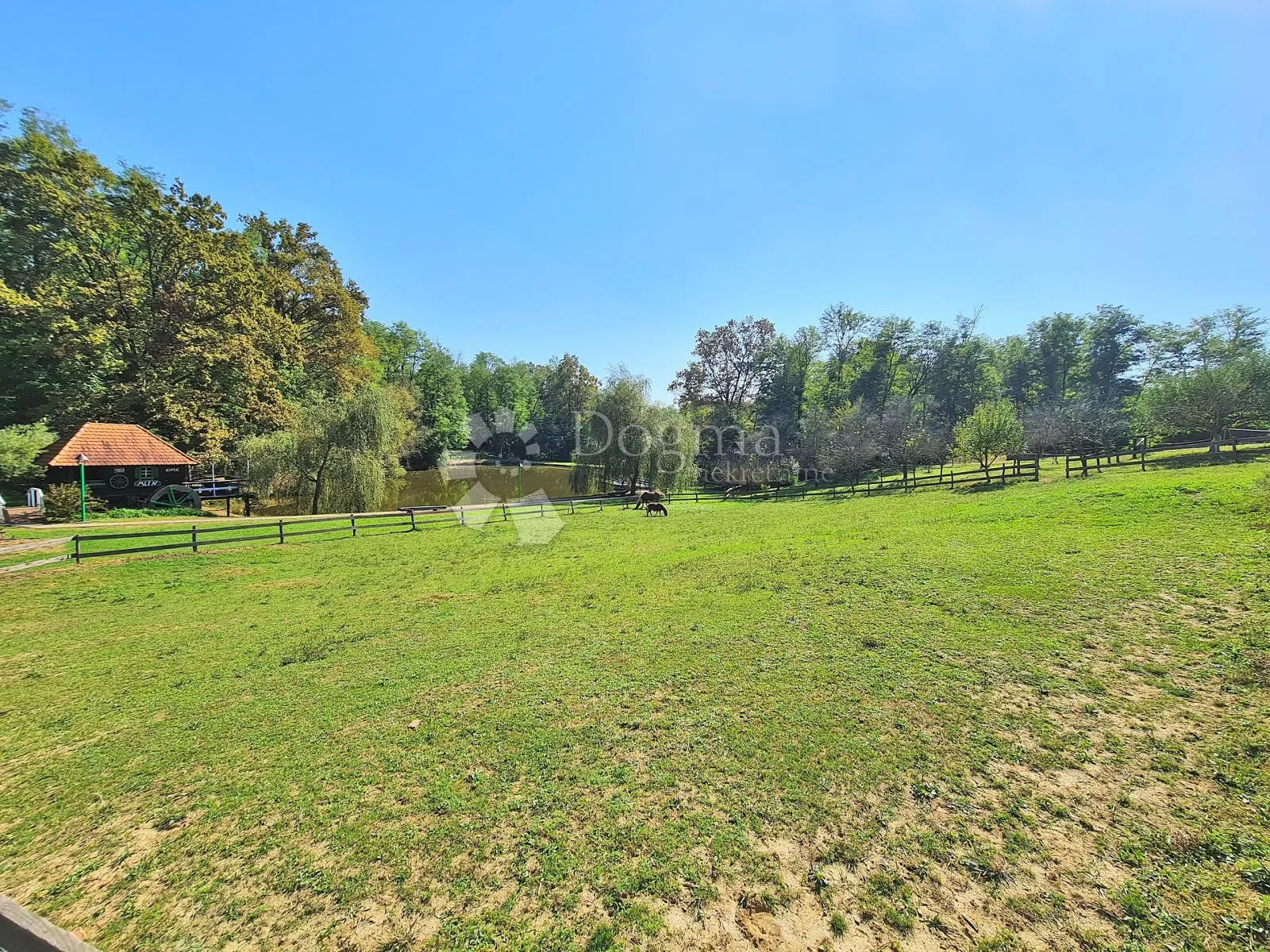 jedinstvena prilika!! posao i imanje od 4 hektara - slika 81