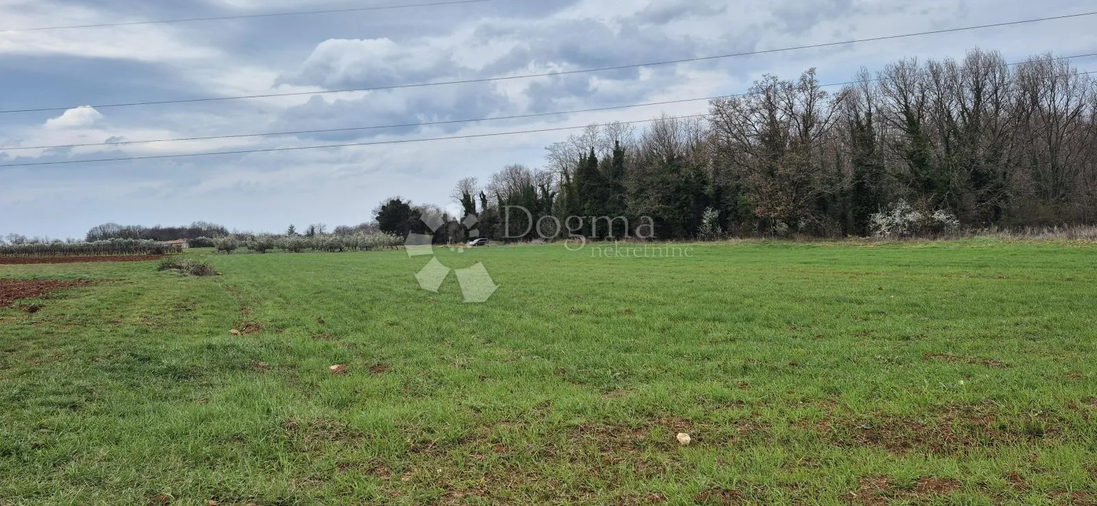 zemljište sa 60 maslina površine 10200 m2 - slika 21
