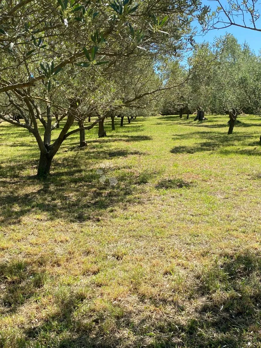 vaš privatni dašak mediterana nadomak centra peroja i plaže - slika 5