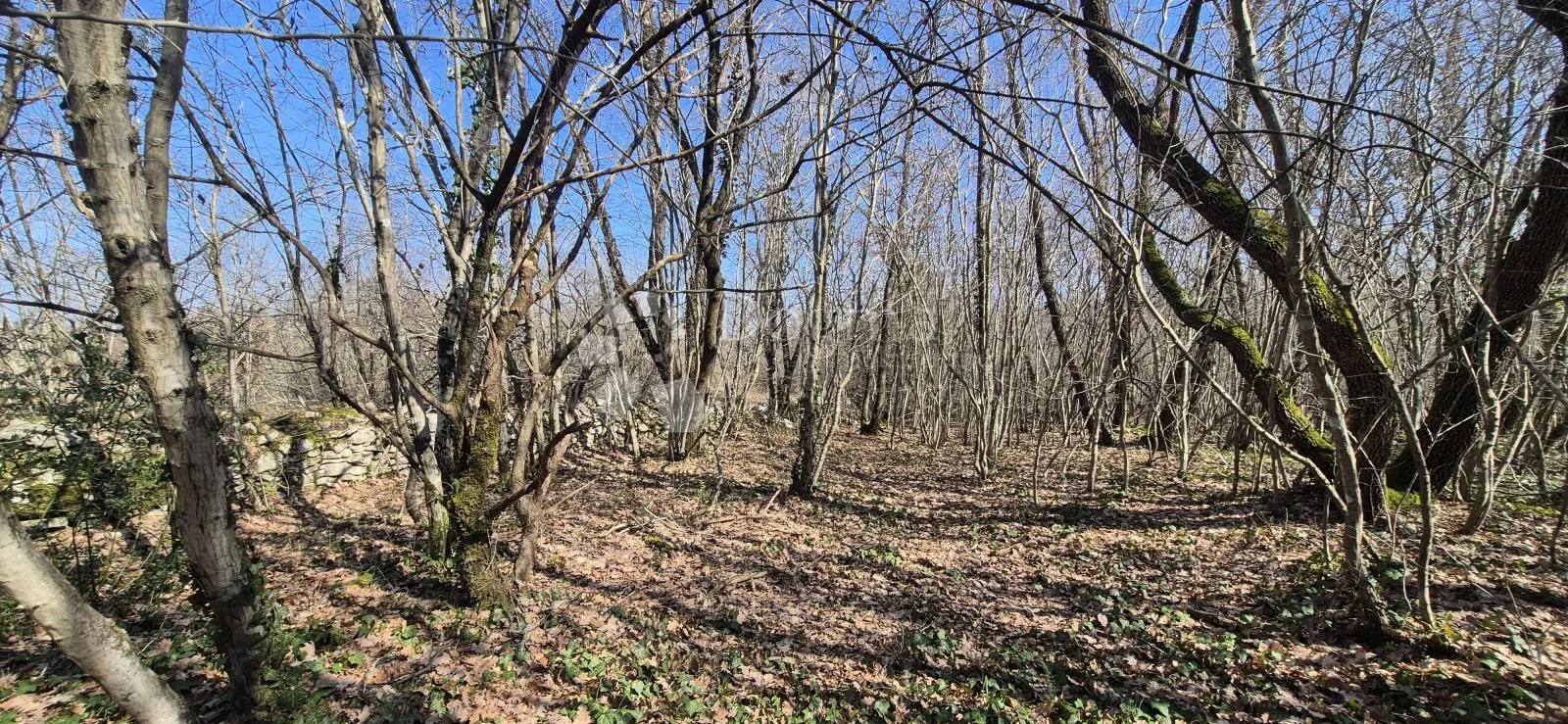 poljoprivredno zemljište površine 23953 m2 sa ogromnim potencijalom - slika 15