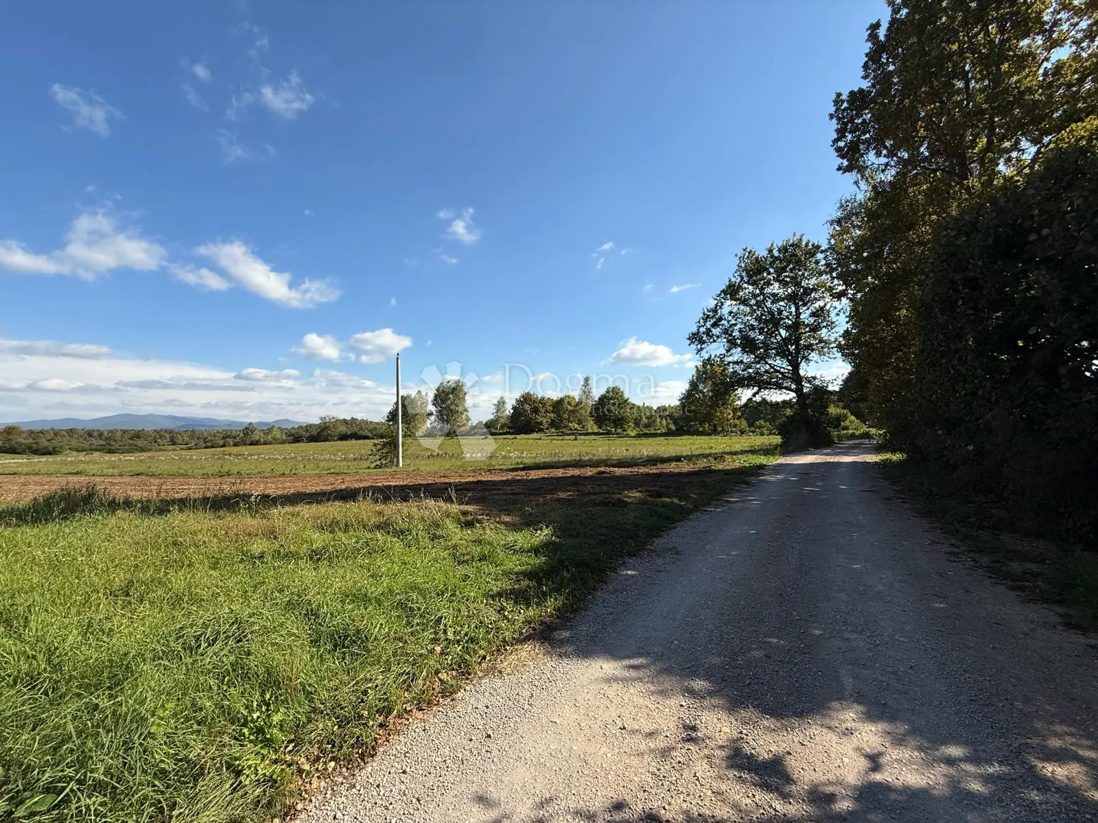 zemlište u netaknutoj prirodi - veliki žitnik (gospić) prilika - slika 3