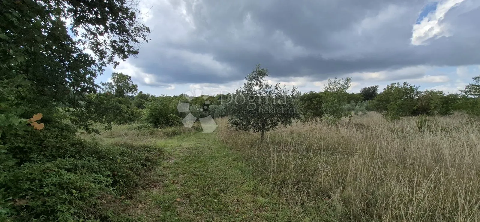 poljoprivredno zemljište kavran-1296 m2 - slika 4