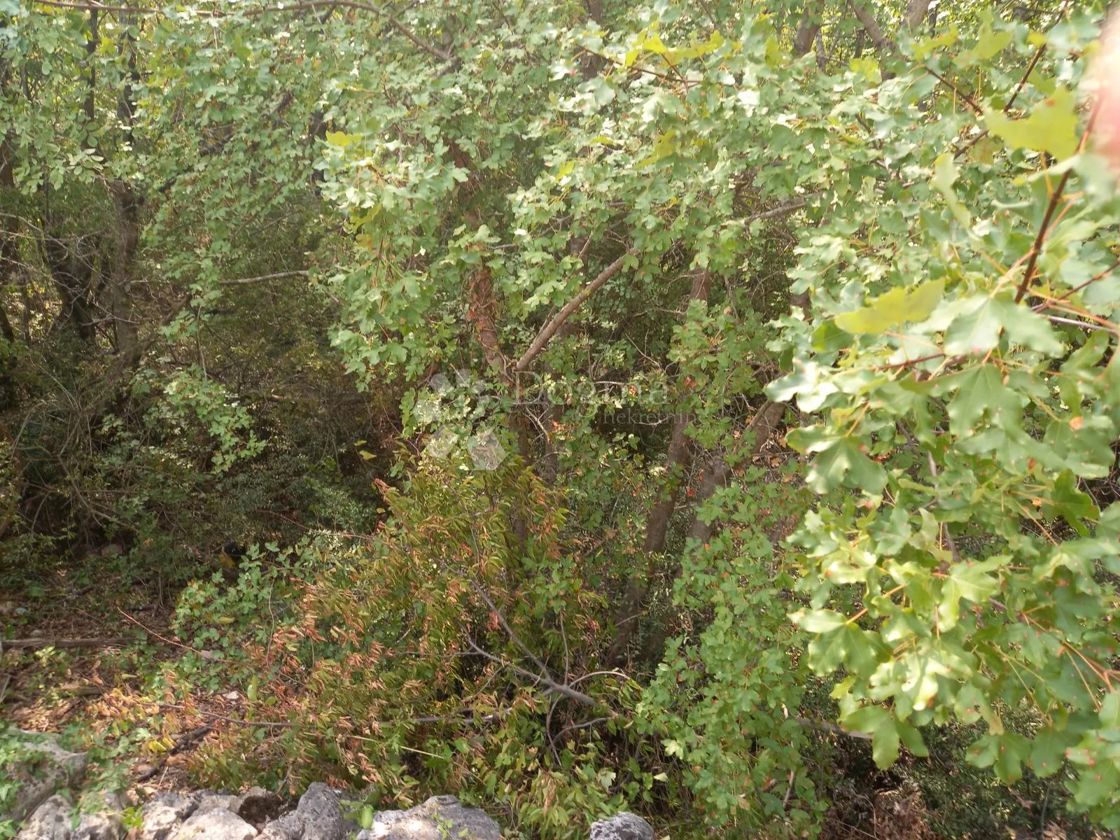 krk, okolica - slika 1