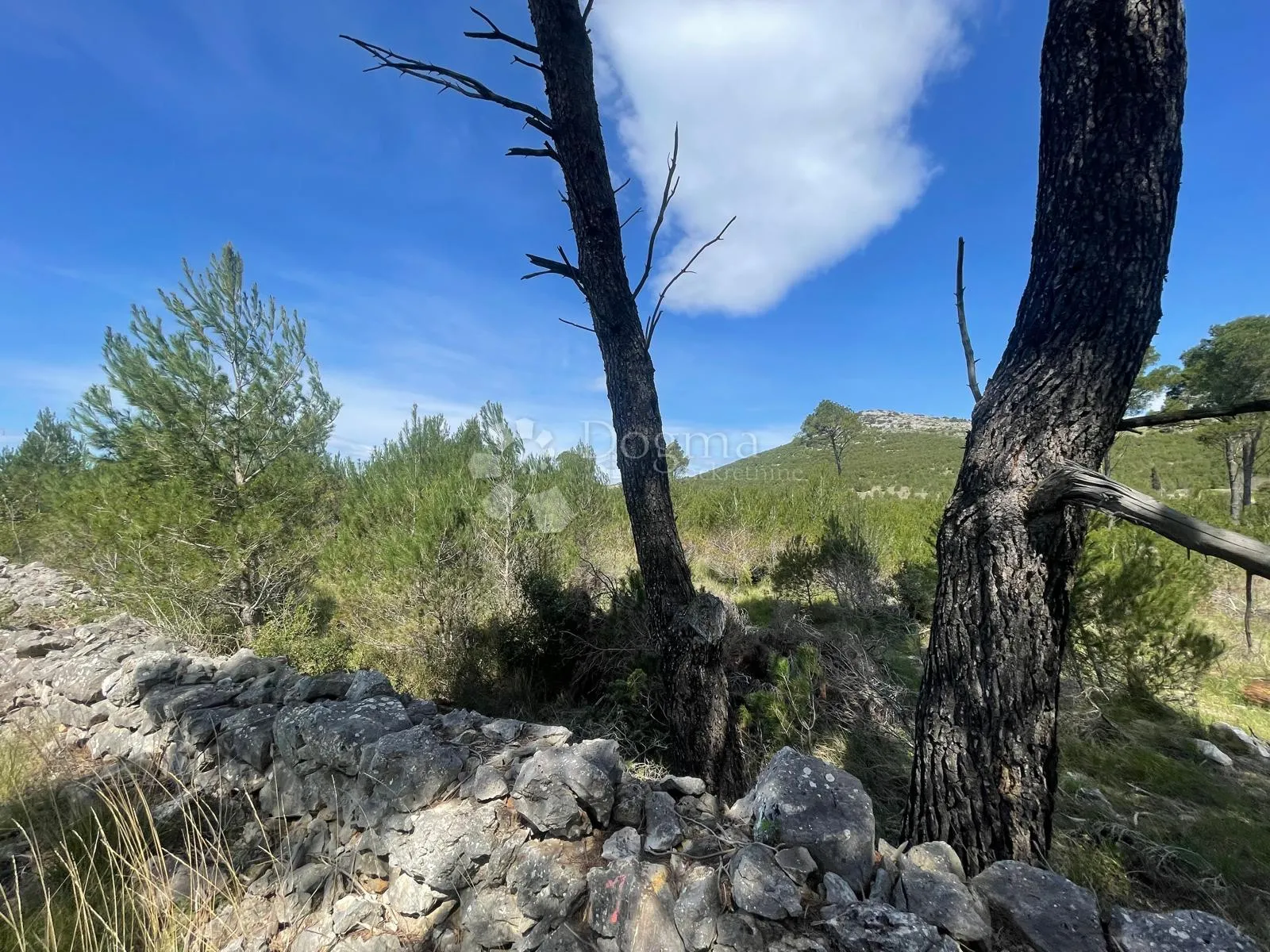 građevinsko zemljište 3.928 m2 dubrava pokraj šibenika - slika 5