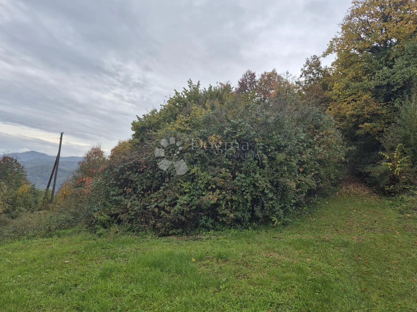izvanredna prilika za kupnjom posjeda od 125.634m² nadomak slovenije! - slika 4