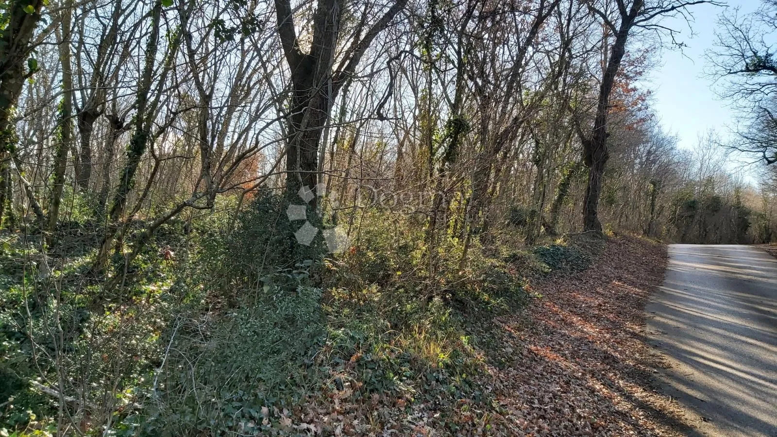 poljoprivredno zemljište uz asfaltiranu cestu - slika 2
