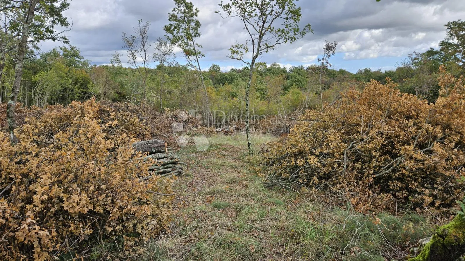 780 m2 građevinskog i 2665 m2 poljoprivrednog zemljišta - slika 4