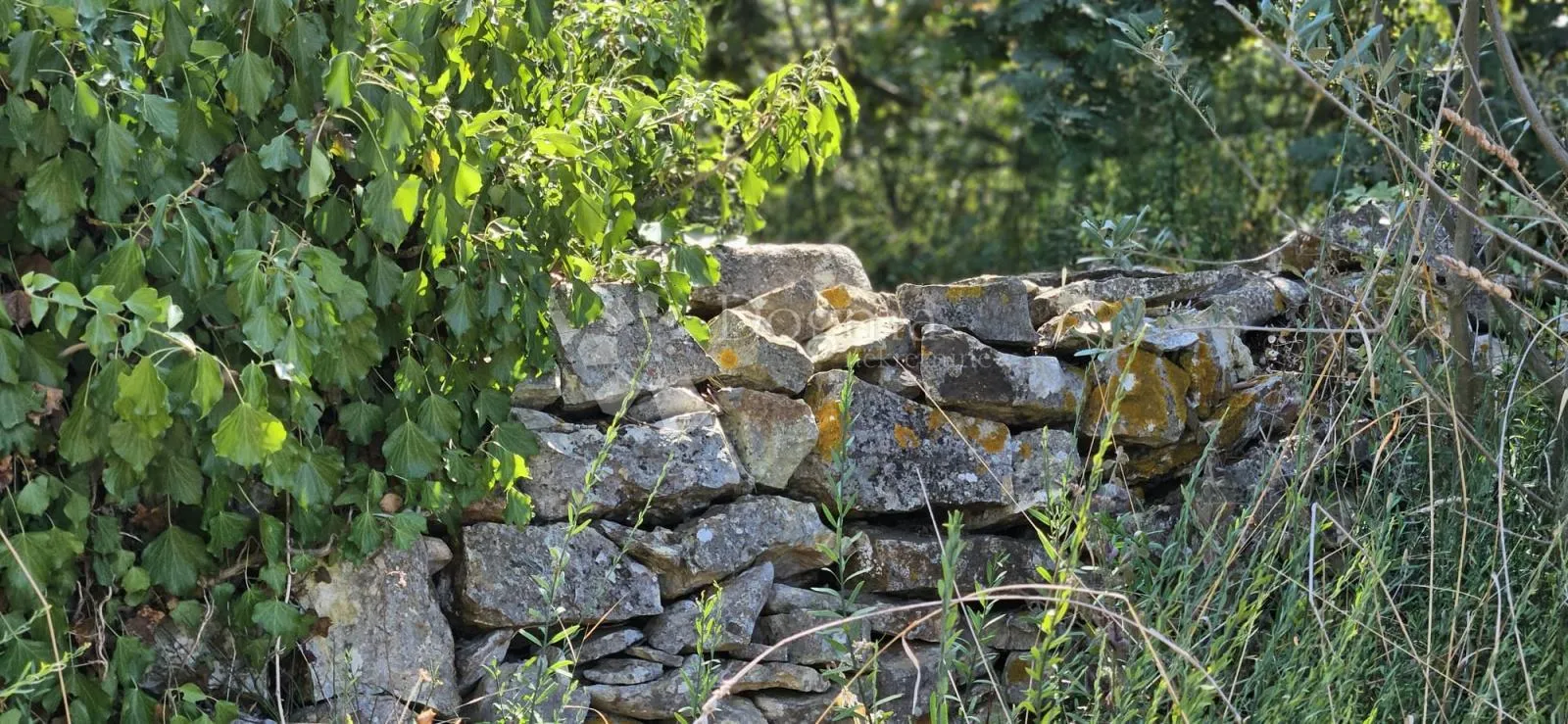 građevinsko zemljište 300m od mora - slika 9