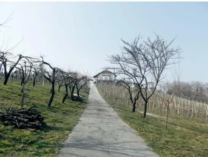 "gdje tradicija susreće priliku – imanje s dušom i pričom" - slika 139