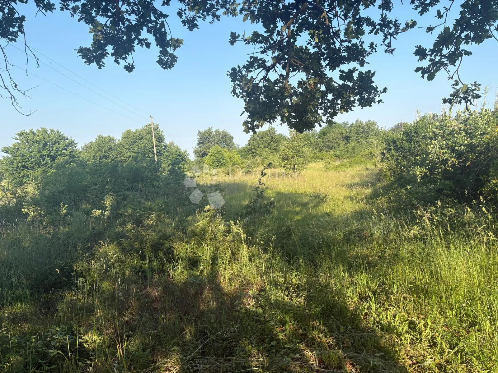 Poljoprivredno zemljište Jurcani 27000 m² -Investicijska prilika - Sveti Lovreč Pazenatički