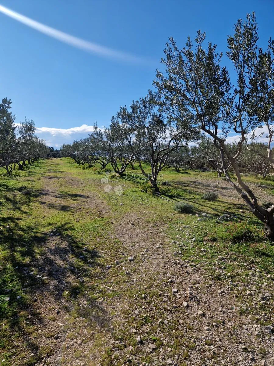 donji humac, zemljište za izgradnju opg-a, 10 630 m2, pogled - slika 13