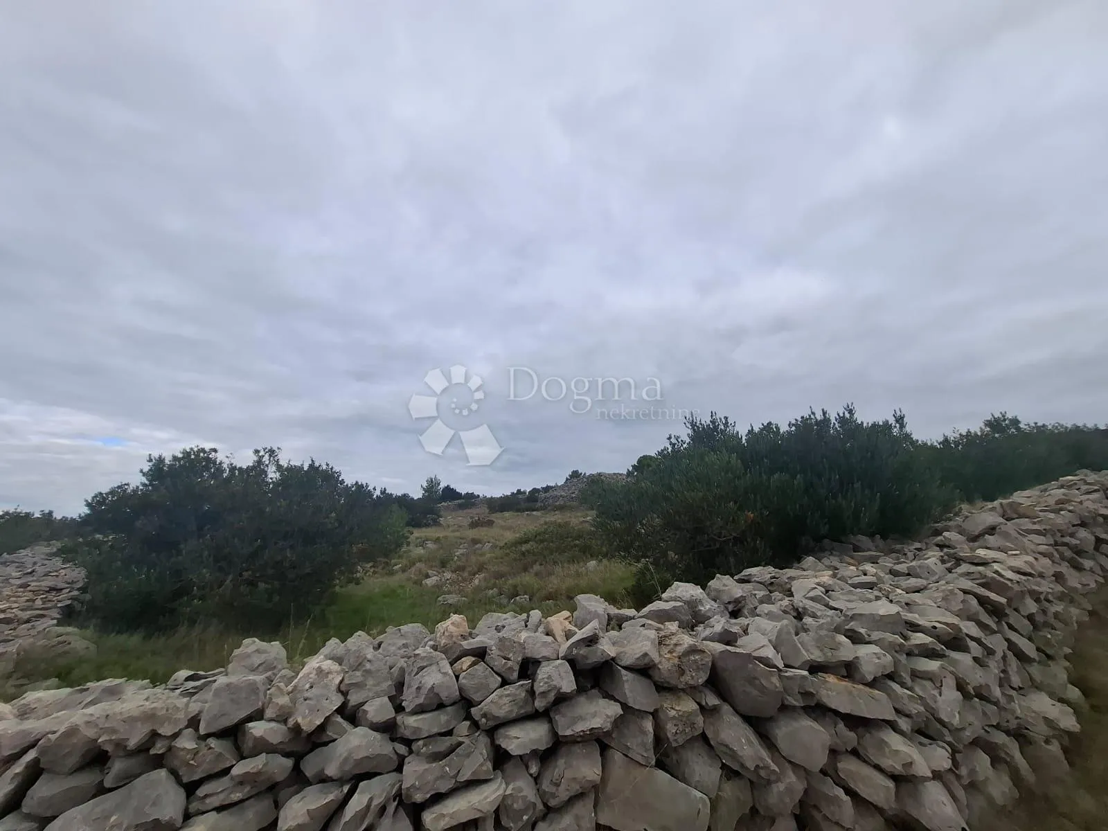 maslinik s pogledom na more milna brač - slika 2