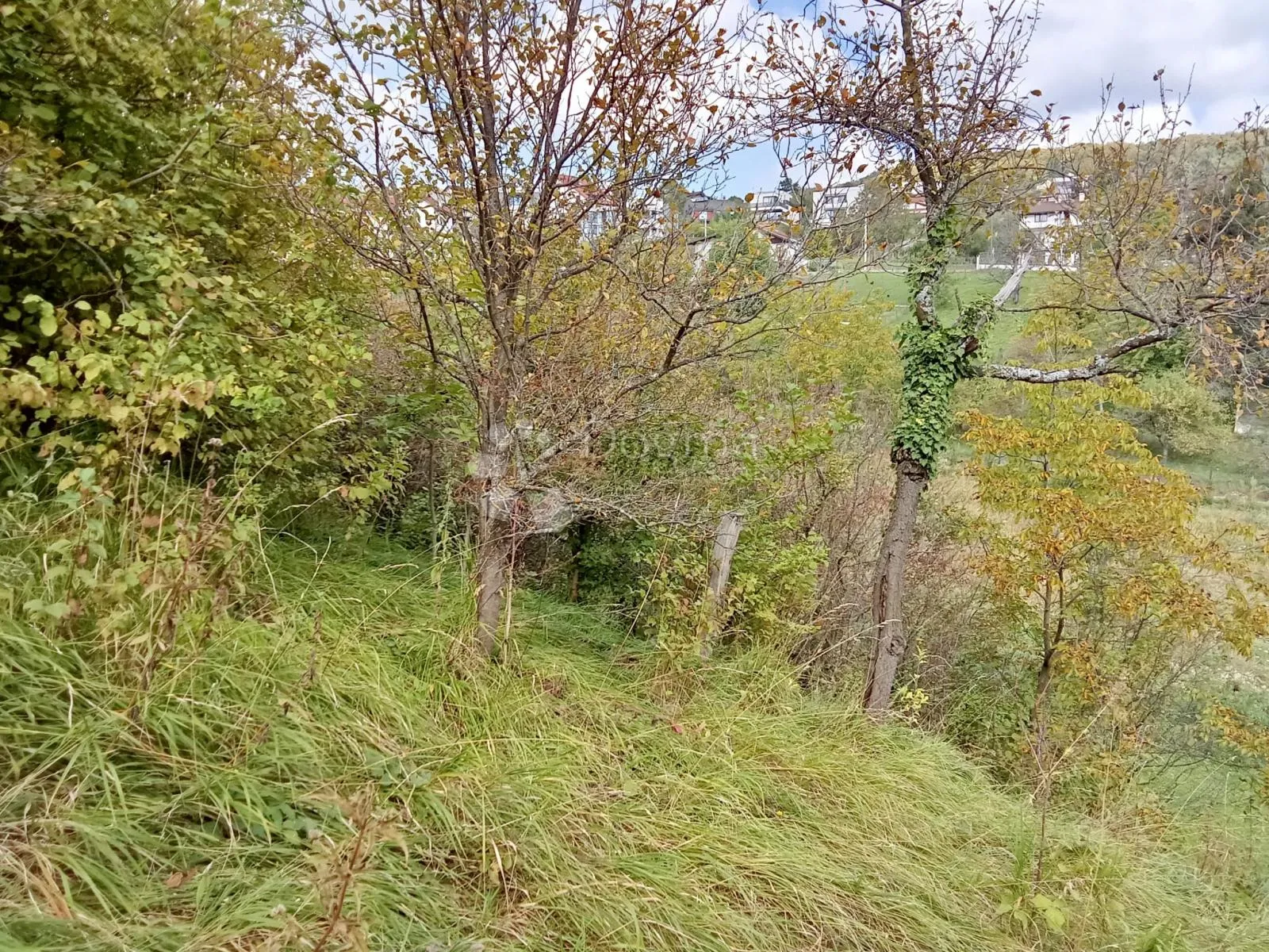 zemljište - savršena lokacija - šestine - polanjščak - slika 3