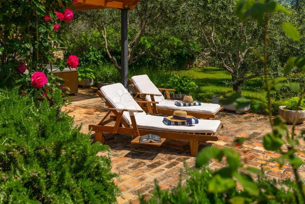 tradicionalna kamena kuća s konobom i maslinikom - slika 35